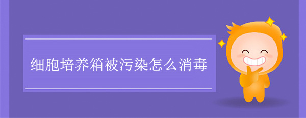 细胞培养箱被污染怎么消毒