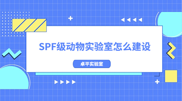 SPF级动物实验室怎么建设